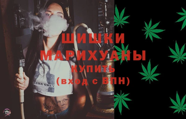 крисы Медвежьегорск
